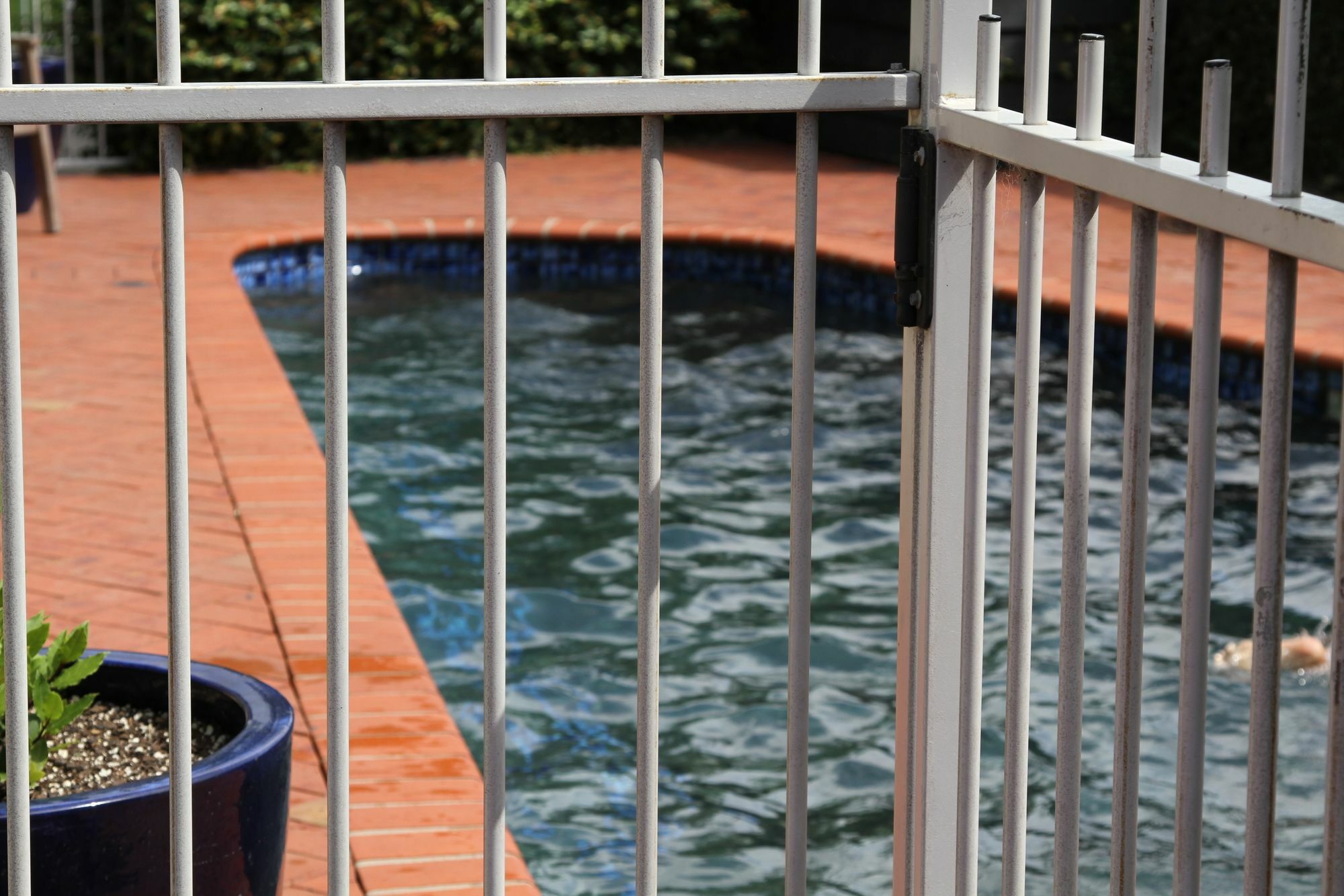 Quantum Lodge Motor Inn Hamilton Esterno foto
